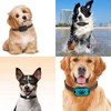 Safe Collars Replacement Strap Shock Collar Replacement Strap Training Bark
