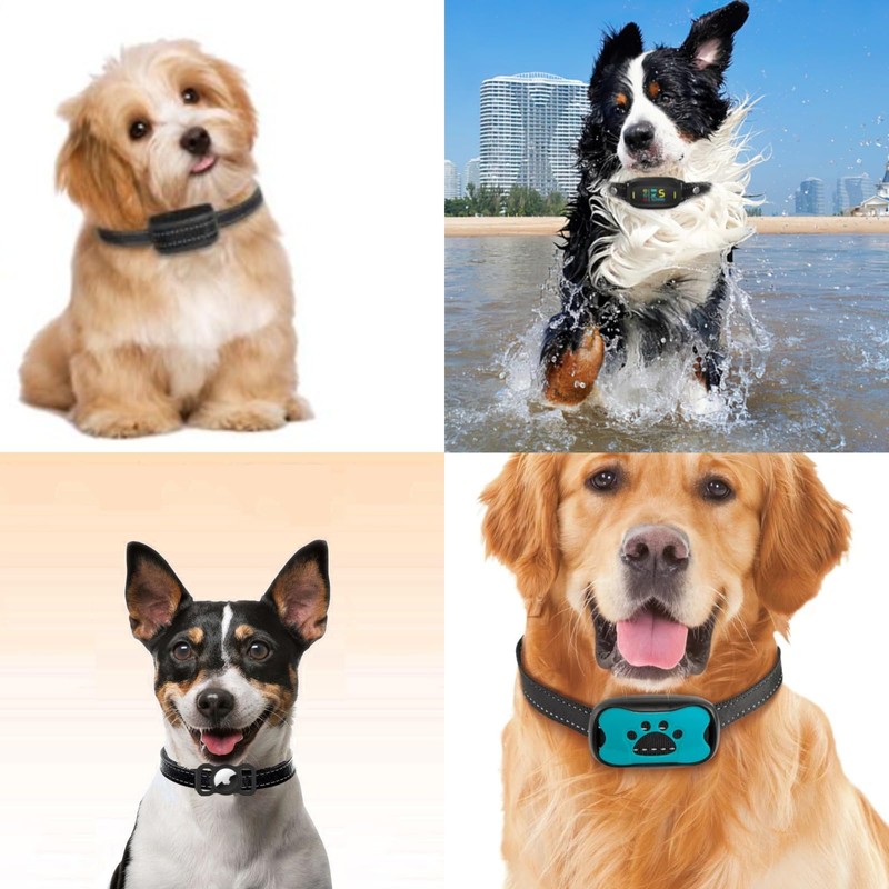 Safe Collars Replacement Strap Shock Collar Replacement Strap Training Bark