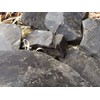 UCLAYS Black Clay, Black Clay, Clay, Edible Clay Pieces (Clumps),