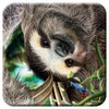 3D LiveLife Cork Coaster - Hangin' Around from Deluxebase. Lenticular