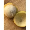 Lemon Drop Mangosteen Garcinia Intermedia Yellow Tropical Fruit Tree Plant