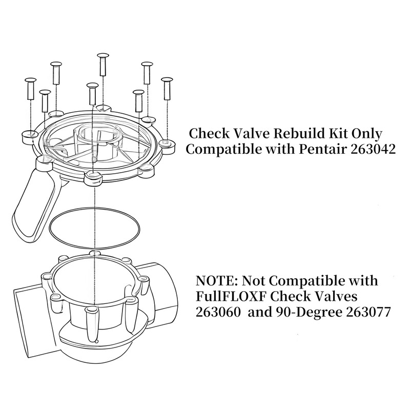 SWEthSU 263042Z 2 Way CPVC Check Valve Flapper Compatible with