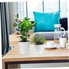 Levemolo 3pcs Automatic Watering Flower Pots Practical Self Watering Planter
