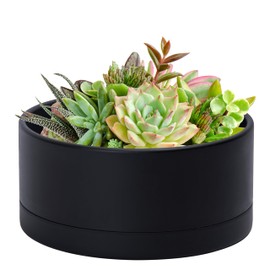 D'vine Dev 10 Inch Plastic Shallow Planter, Large Round Succulent Plant Pot with Drainage Hole and Sauce, Decorative Bonsai Pot for Indoor Plants, Black, 76-Z-B-2