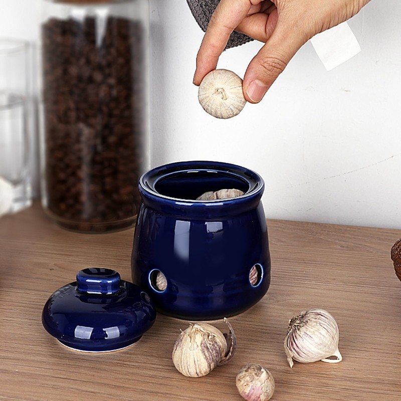 HAOTOP Ceramic Mini Garlic Keeper with Lid, Garlic Container Saver