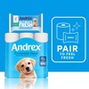 Andrex® Classic Clean Toilet Roll (24 Pack)