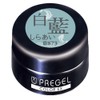 PRE GEL Color EX White Indigo 873, 0.1 oz (3