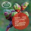 RATHAUS APOTHEKE WIEN Concentrated Bud Extract - Gemmotherapy - Syringa