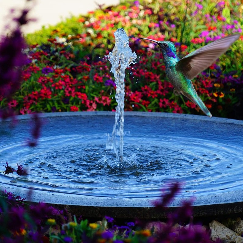 5W Solar Water Pump KIT: DC Brushless Submersible Water Pump