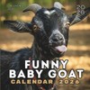 2026 Baby Goat Calendar: Cute & Funny Goat Photos for