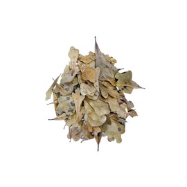 The Bio Dude Leaf Litter - Water Oak Litter - Great for bioactive terrariums, vivariums and Fish