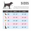PHOEPET No Pull Dog Harness Adjustable Dog Vest Harness for