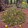 Navajo Tea with Spearmint in 1.5 oz (42 rams) tin