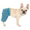 HDE Dog Swim Trunks Hawaiian Board Shorts Beach Pool Swimsuit