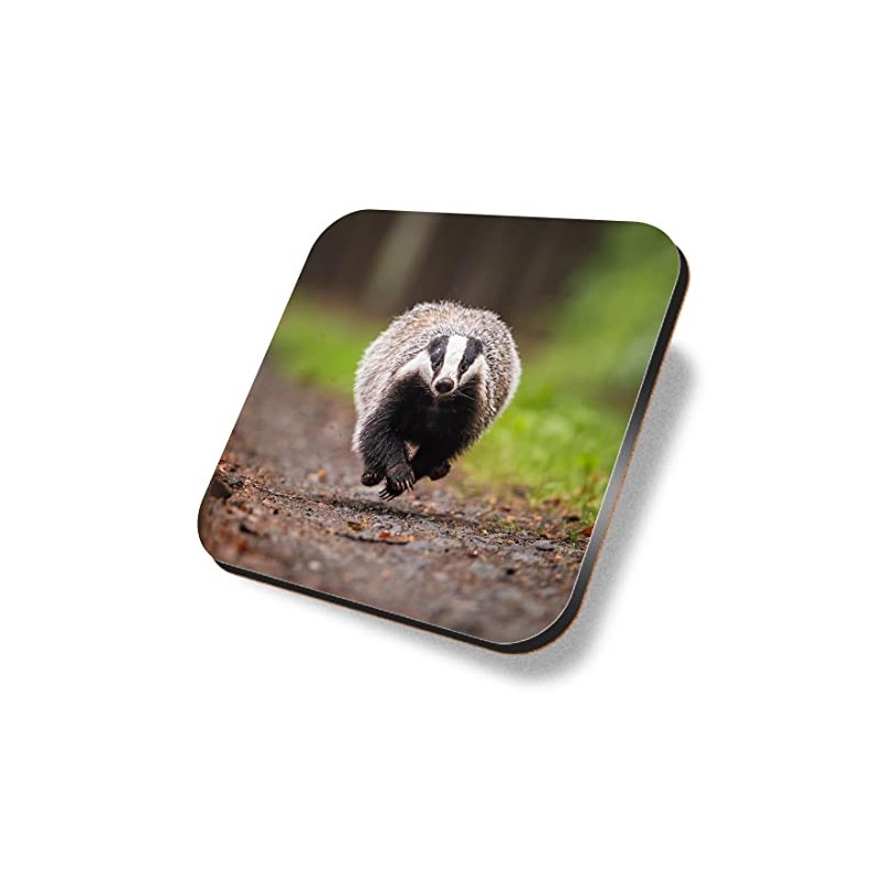 1 x Square Coaster - Funny Running Badger Nature Wildlife