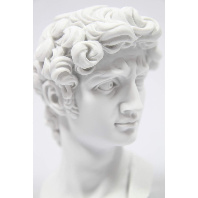Vittoria Collection Classic Head Bust of David by Michelangelo Statue