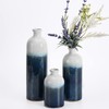 TERESA'S COLLECTIONS Navy Blue and White Vases for Home Decor,