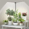 bodkar Plant Grow Lights for Indoor Plants Full Spectrum with