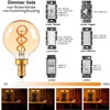 E12 Décor Globe g16.5 Candelabra Light Bulb 4W Dimmable ,