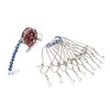 Fish Stringer Live Fish Lock with Reel Float Steel Wire