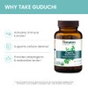 Himalaya Organic Guduchi 60 Caplets for Immune & Sinus Support