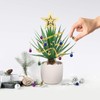 Festive Plant Baubles and Decoration Kit, Festive Plant Christmas Ornaments