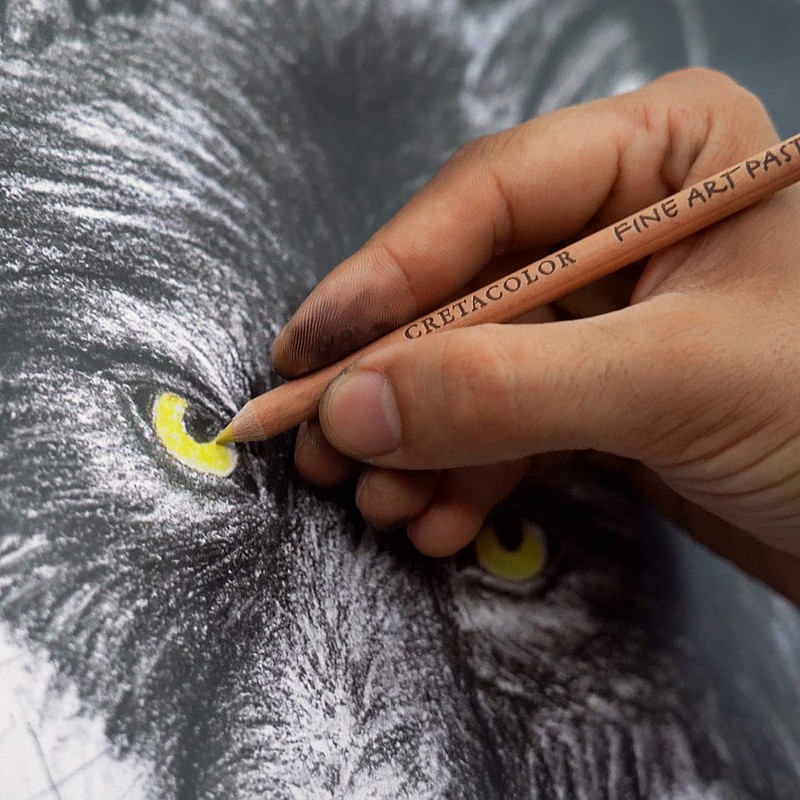 Cretacolor Wolf Box Set of 25 Black / White Sign