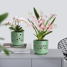 COLOAPT Orchid Pots with Holes, 5+6 Inch Large Orchid Pots with Drainage and Saucers, Ceramic Orchid Planter for Indoor/Outdoor Set of 2 Flower Pots - Pea Green