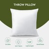 XhomeX 18"x18" Pillow Inserts (Set of 2) - Throw Pillow