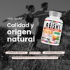 Purely Organics | Reishi Gold 650 mg con Cúrcuma, Té