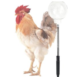 2 Pack Chicken Toys Chicken Peck Toy, Chicken Swing Feeder with Spring and Ground Stake, Chicken Enrichment Toys for Coop, Chicken Coop Accessories for Hens Poultry Duck Birds Parrots, Transparent