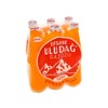 Uludag Legendary Orange Flavored Carbonated Soft Drink - Portakal Efsane
