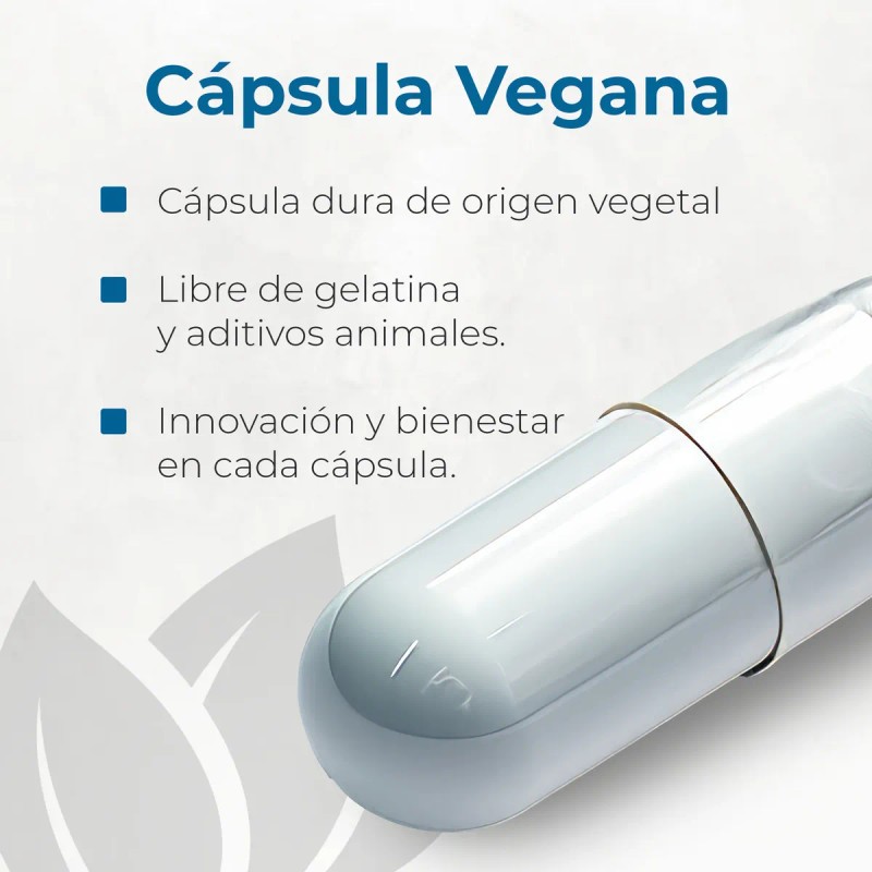 L-treonato De Magnesio + Omega 3 | 60 Cápsulas |