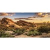 AWERT Reptile Habitat Background Blue Sky Oasis Cactus Sun and