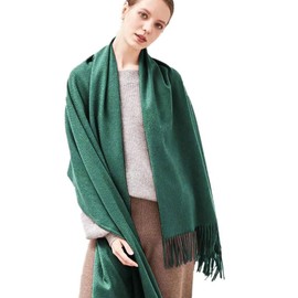 Jnidesier Pashmina Scarves, Extremely Soft Cashmere Feel Capes, Oversized Blanket Scarf with Tassels for Cozy Warmth, Dark Green, 20 Inches, Green