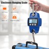 Digital Crane Scale, 300 kg 660 lbs Electronic Hanging Scale,