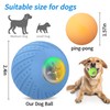 PAKESI Smart Interactive Dog Ball Toy,Active Rolling Ball for Puppy/Small