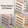Ruayia Egg Holder 30 Eggs 4 Tier Eggs Storage Fridge
