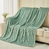 NEWCOSPLAY Super Soft Throw Blanket New Sage Green Premium Silky