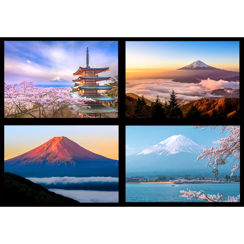 TAKASHI Mt. Fuji Postcard "Mt. Fuji Bikei 12 Piece Set"