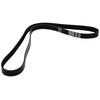 Metzger Dayco 6PK1345 V-Ribbed Belt