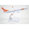 TANG DYNASTY 1/400 16 cm Gol Airlines GOL Airlines Boeing