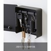 Yamazaki Industries 4800 Magnetic Key Hook, 2 Tiers, Black, Approx.
