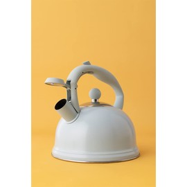 Typhoon Otto Collection | Stovetop Kettle - Blue