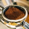 Tokyo Coffee Kilimanjaro Organic Coffee Beans Kilimanjaro Peaberry Organic Coffee