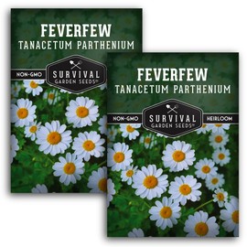 Feverfew Seeds for Planting - 2 Packets with Instructions to Plant and Grow Your Own Bachelor's Buttons in Your Home Vegetable or Herb Garden - Non-GMO Heirloom Variety - Survival Garden Seeds