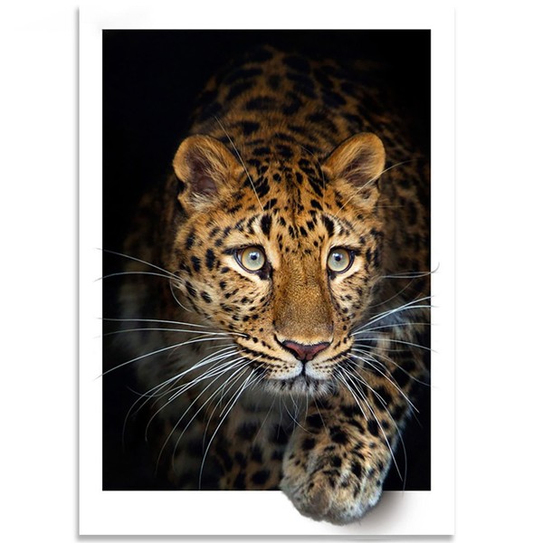 Instarry 5D Diamond Painting Pintar con Diamantes Cheetah Adornos Para la Casa Manualidades Adultos 60x40 cm