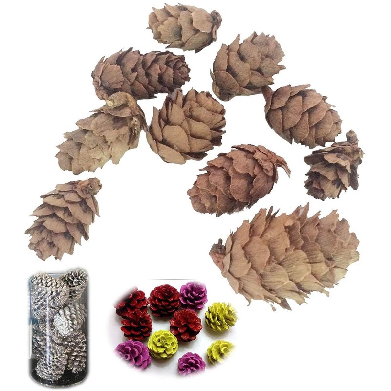 POFET Simulation Pine Cones Pineal Gland Aquarium Terrariums Miniature Garden