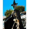 Tarpop Halloween 12 ft Skeleton Outfit Set Giant Skeleton Witch