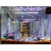 AWXZOM “Soul Valley” Aquarium Ornaments Aquarium Decoration Model Kits, Include